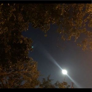 Meet your Posher, Patty